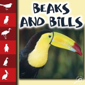 Beaks and Bills: Life Science - Let's Look at Animals, Lynn Stone