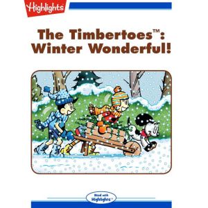 Winter Wonderful!: The Timbertoes, Rich Wallace