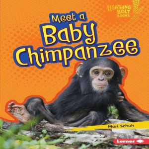 Meet a Baby Chimpanzee, Mari Schuh