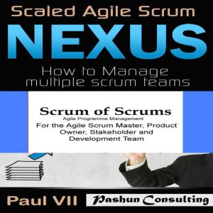 Agile Project Management Box Set: Scaled Agile Scrum: Nexus & Scrum of Scrums, Paul VII