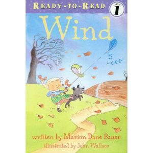 Wind, Marion Dane Bauer