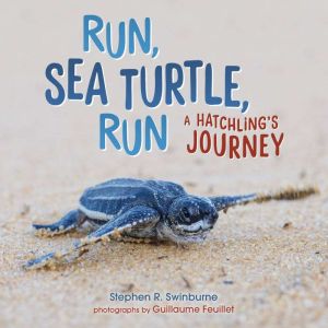 Run, Sea Turtle, Run: A Hatchling's Journey, Stephen R. Swinburne