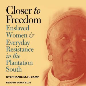 Closer to Freedom: Enslaved Women and Everyday Resistance in the Plantation South, Stephanie M.H. Camp