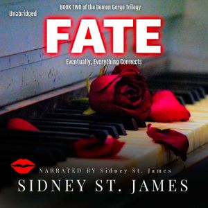 Fate: Eventually Everything Connects, Sidney St. James