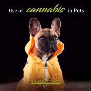Use of cannabis in pets, Pharmacology University