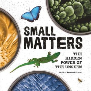 Small Matters: The Hidden Power of the Unseen, Heather Ferranti Kinser