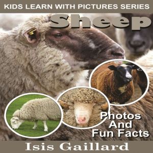 Sheep: Photos and Fun Facts for Kids, Isis Gaillard