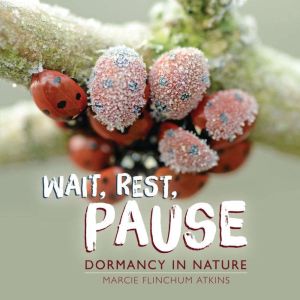 Wait, Rest, Pause: Dormancy in Nature, Marcie Flinchum Atkins