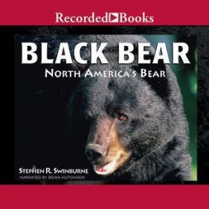 Black Bear: North America's Bear, Stephen R. Swinburne