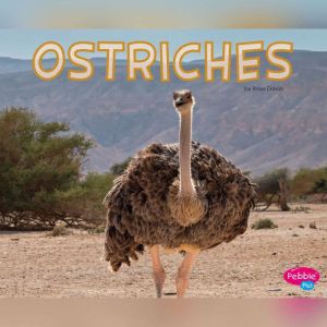 Ostriches, Rose Davin