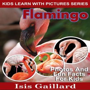 Flamingo: Photos and Fun Facts for Kids, Isis Gaillard