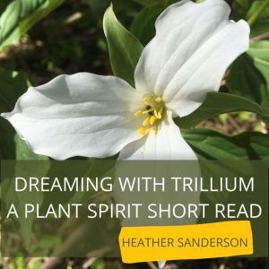 Dreaming with Trillium: A Plant Spirit Short Read, Heather Sanderson