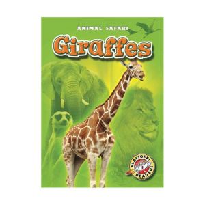 Giraffes, Kari Schuetz