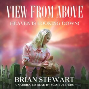 View From Above: Heaven is Looking Down, Brian Stewart
