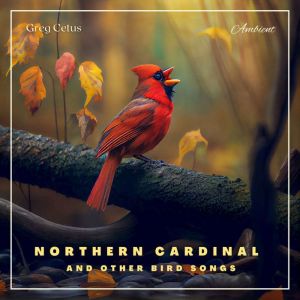Northern Cardinal and Other Bird Songs: Nature Sounds for Relaxation, Greg Cetus