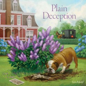 Plain Deception, Tara Randel