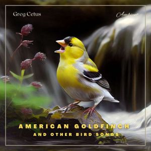 American Goldfinch and Other Bird Songs: Nature Sounds for Study and Meditation, Greg Cetus