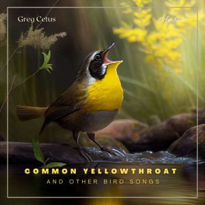 Common Yellowthroat and Other Bird Songs: Nature Sounds for Mindfulness and Reflection, Greg Cetus