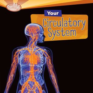 Your Circulatory System, Conrad J. Storad