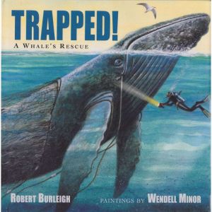 Trapped!: A Whale's Rescue, Robert Burleigh