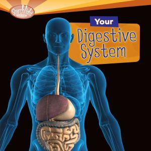 Your Digestive System, Rebecca L. Johnson