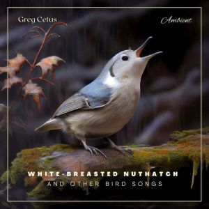 White-breasted Nuthatch and Other Bird Songs: Ambient Audio for Holistic Living, Greg Cetus