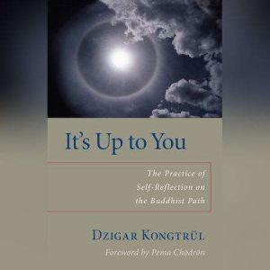It's Up to You: The Practice of Self-Reflection on the Buddhist Path, Dzigar Kongtrul