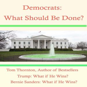 Democrats: What Should They Do?: Preventing Going Out of Business like the Federalists & Whigs, Tom Thornton