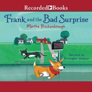Frank and the Bad Surprise, John Lau