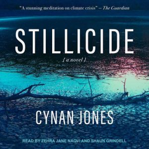 Stillicide: A Novel, Cynan Jones