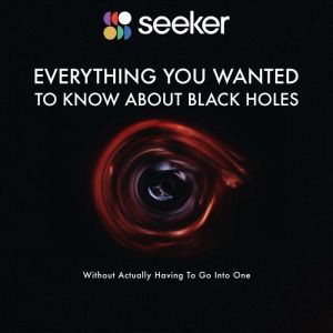 Everything You Wanted to Know About Black Holes: (Without Actually Having To Go Into One), Seeker