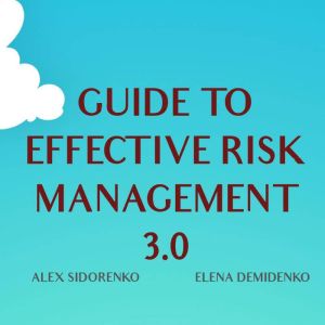Guide to effective risk management: Implementing risk management 2, Alex Sidorenko